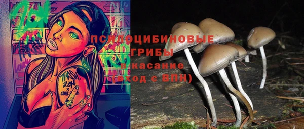 мет Богданович